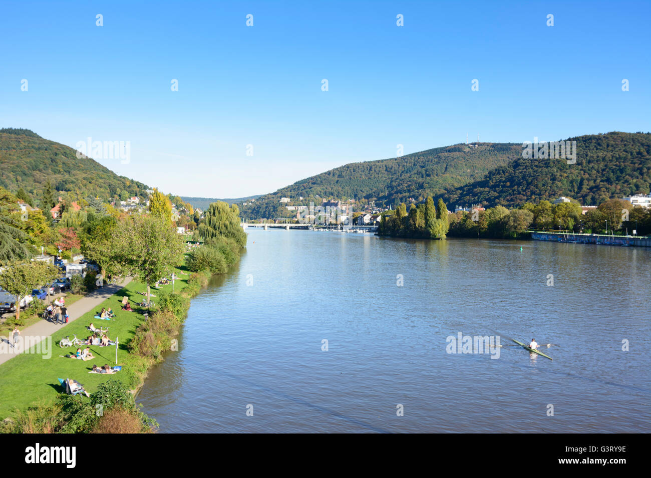 River Neckar , sunbathers on the Neckar meadows and overlooking the old town with its castle and mountain Königstuhl with paddle Stock Photo