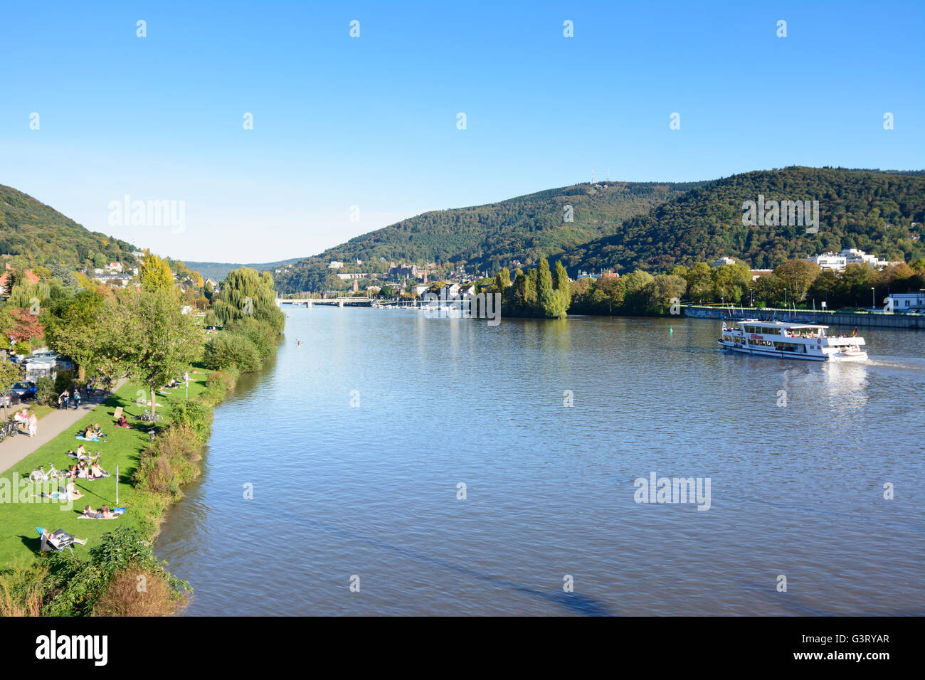 River Neckar , sunbathers on the Neckar meadows and overlooking the old town with its castle and mountain Königstuhl with excurs Stock Photo