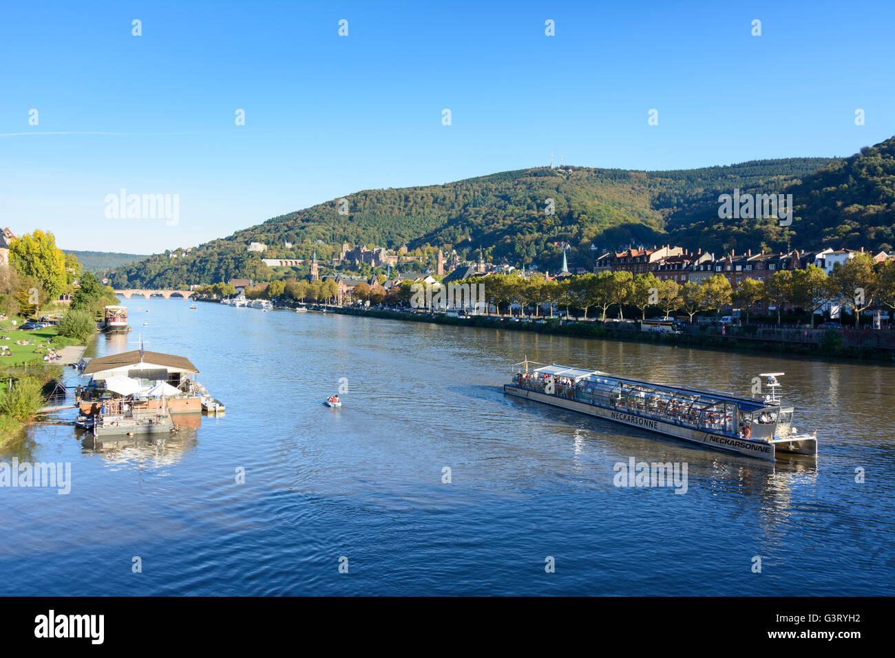 River Neckar , sunbathers on the Neckar meadows and overlooking the old town with its castle and mountain Königstuhl with Solars Stock Photo
