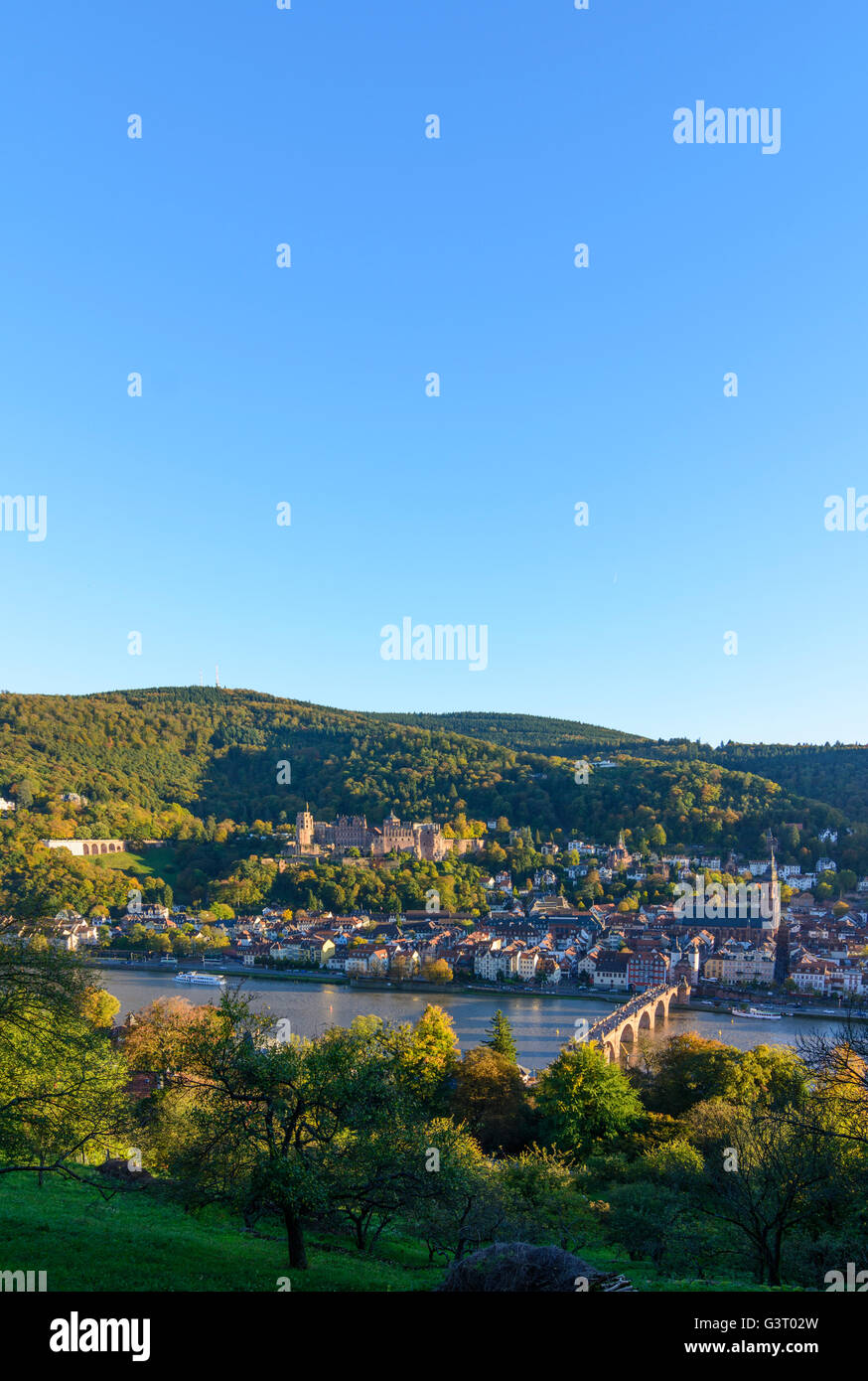 View from Schlangenweg to old city with castle, Heiliggeistkirche and Old Bridge over the Neckar and Königstuhl mountain, German Stock Photo