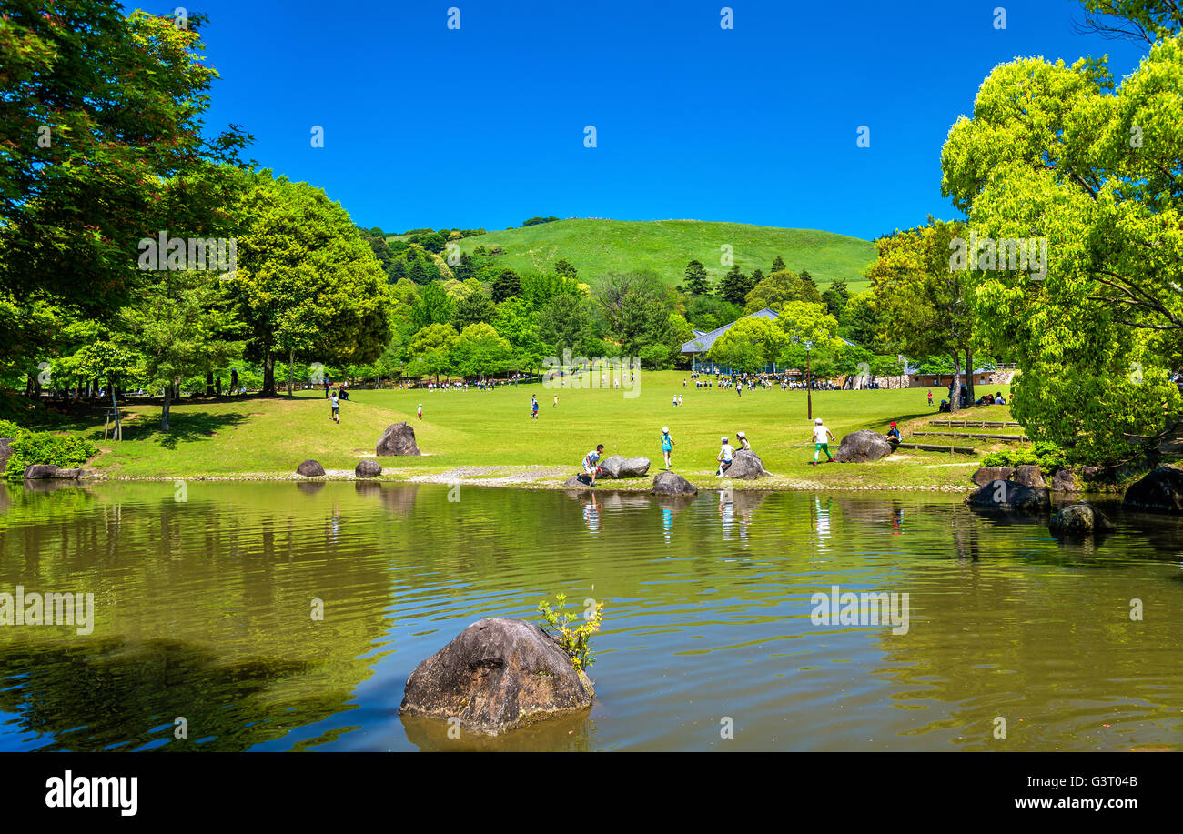Grounds of Nara Park in Kansai Region - Japan Stock Photo