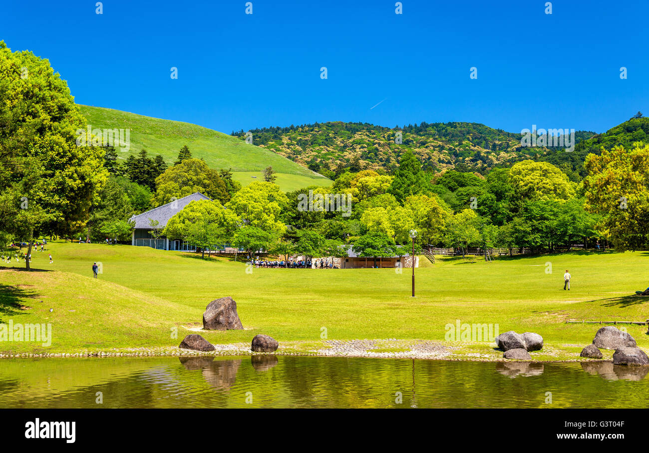 Grounds of Nara Park in Kansai Region - Japan Stock Photo