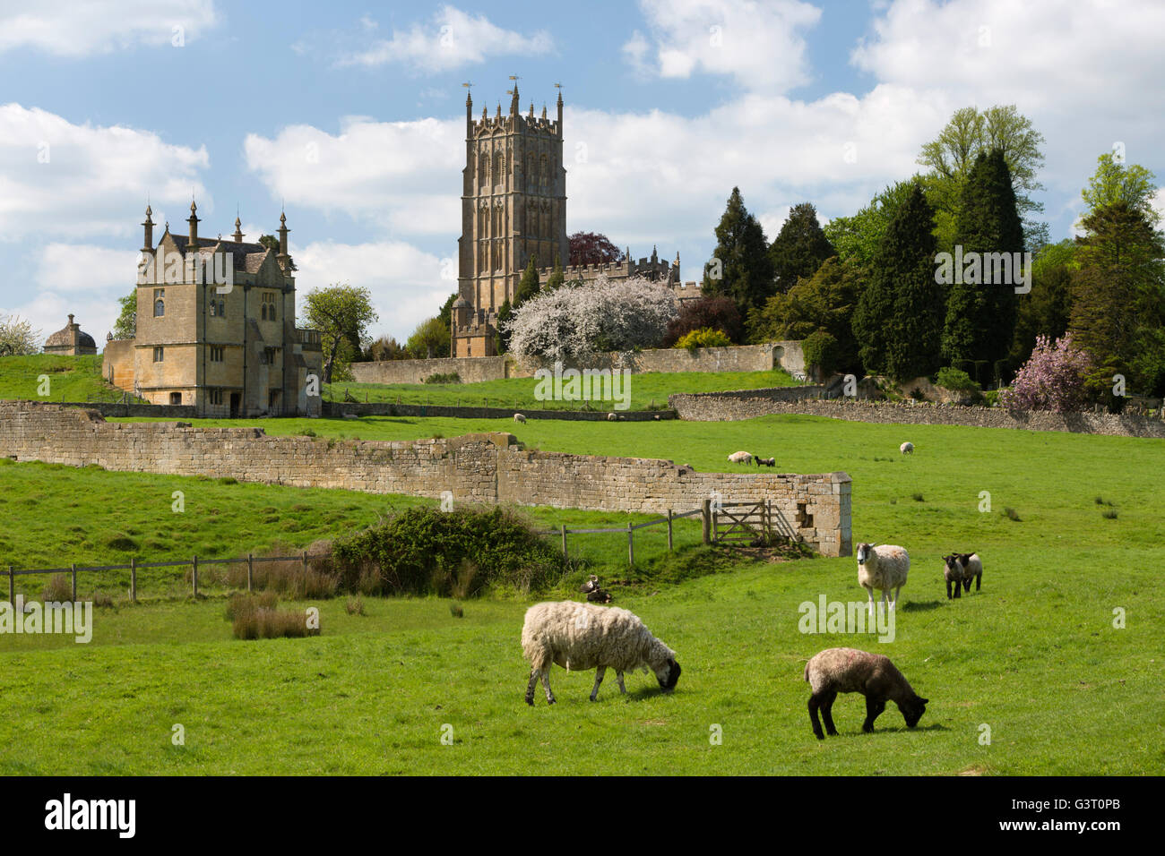 St James' Church and Old Campden House East Banqueting House with grazing sheep, Chipping Campden, Cotswolds, Gloucestershire, England, United Kingdom Stock Photo
