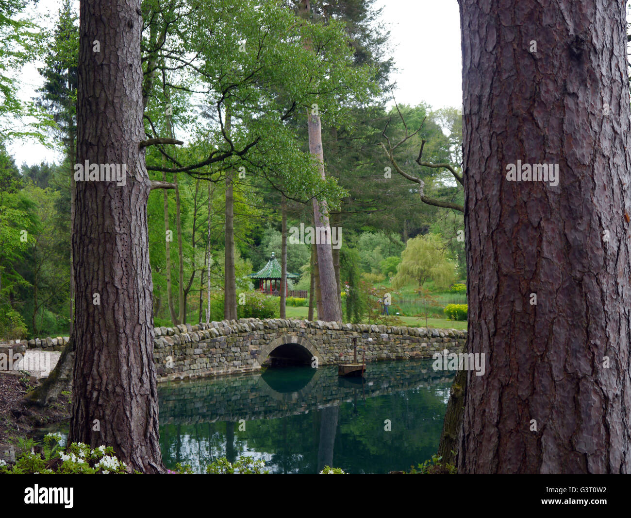 Dry Stone Bridge Reflected in a Lake Between Trees at the Himalayan Garden & Sculpture Park, North Yorkshire, England UK. Stock Photo