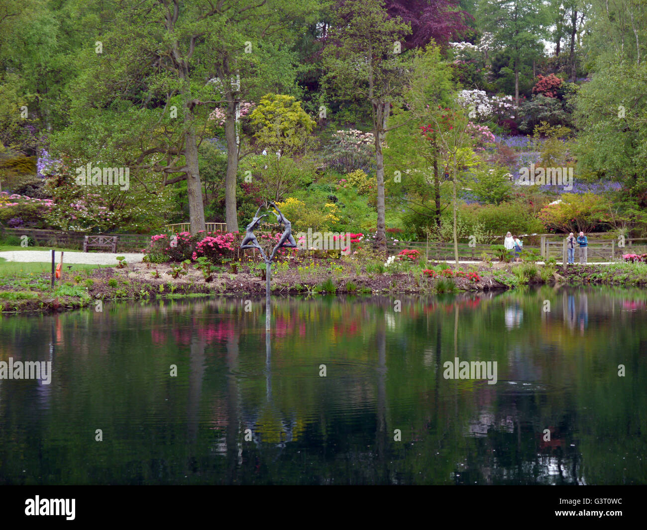 Reflections in one of the Lakes at the Himalayan Garden & Sculpture Park, North Yorkshire, England UK. Stock Photo