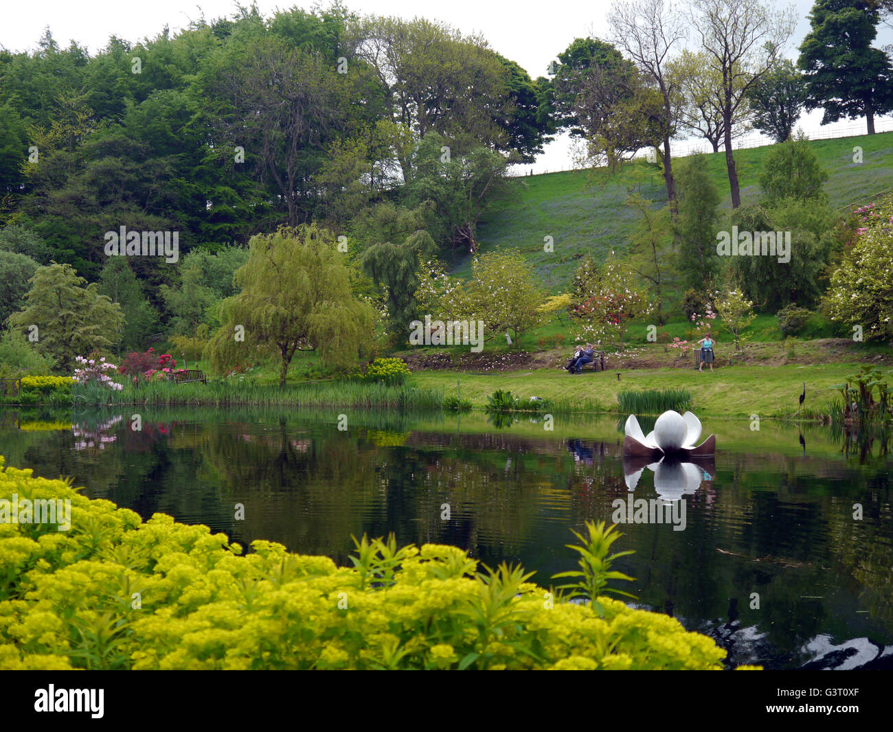 Lily Pad Sculpture Floating on a Lake at the Himalayan Garden & Sculpture Park, North Yorkshire, England UK. Stock Photo