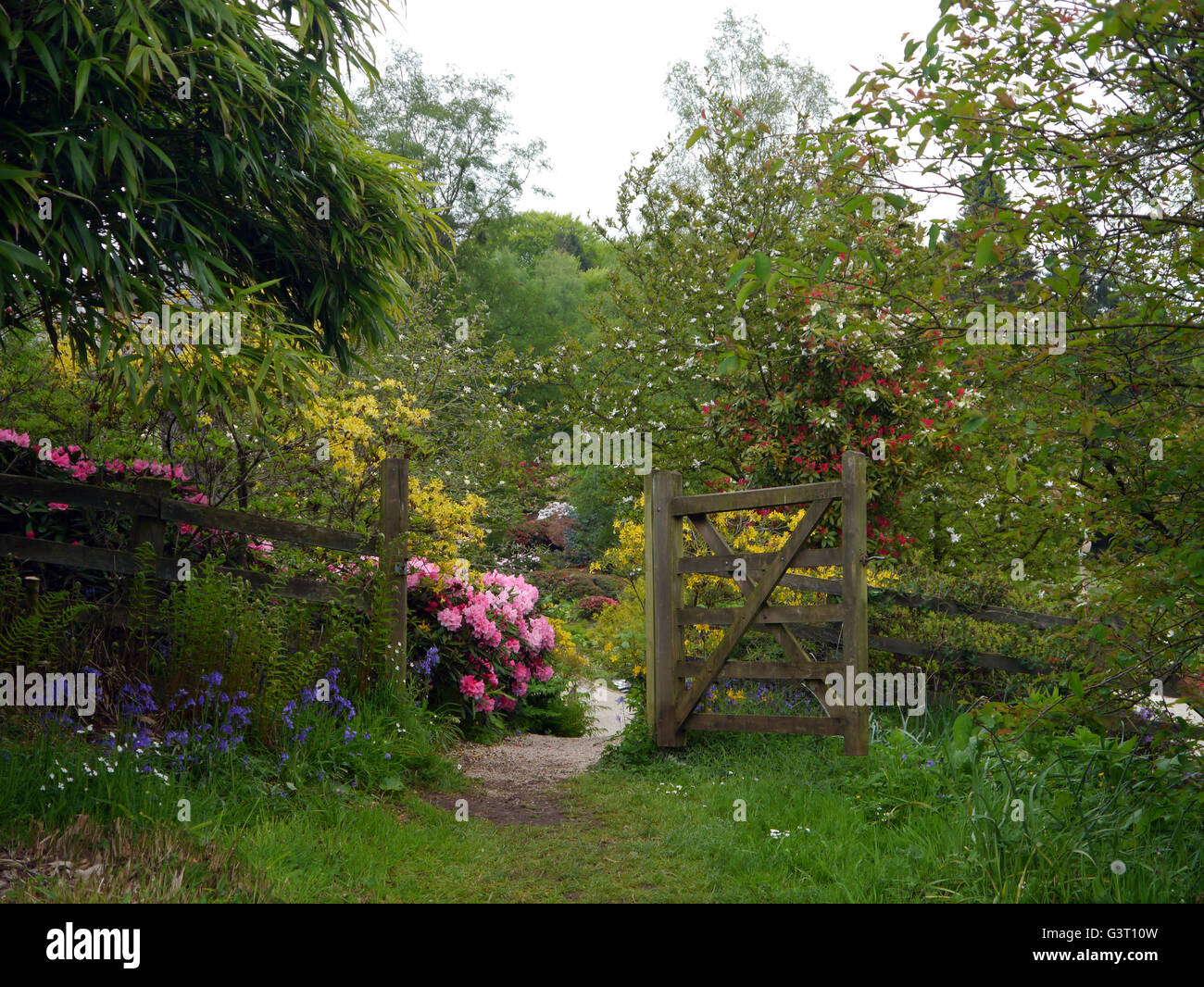 Inviting Open Wooden Gate into Garden at the Himalayan Garden & Sculpture Park, North Yorkshire, England UK. Stock Photo
