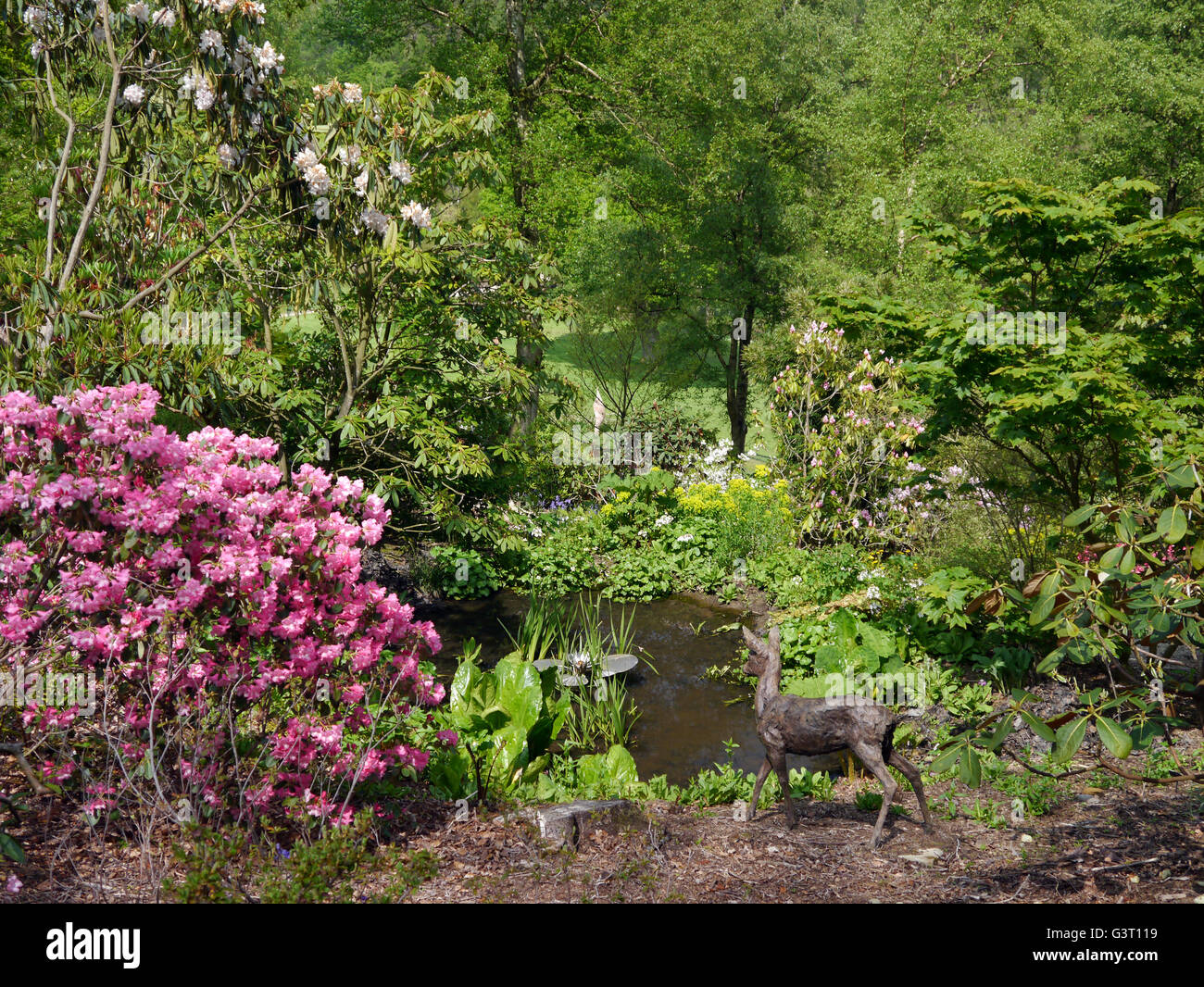 Sculpture of Small Deer Looking into Pond at the Himalayan Garden & Sculpture Park, North Yorkshire, England UK. Stock Photo