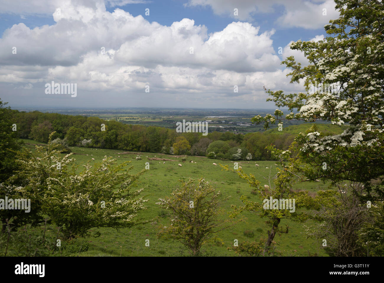 View over Vale of Evesham from Dover's Hill, Chipping Campden, Cotswolds, Gloucestershire, England, United Kingdom, Europe Stock Photo