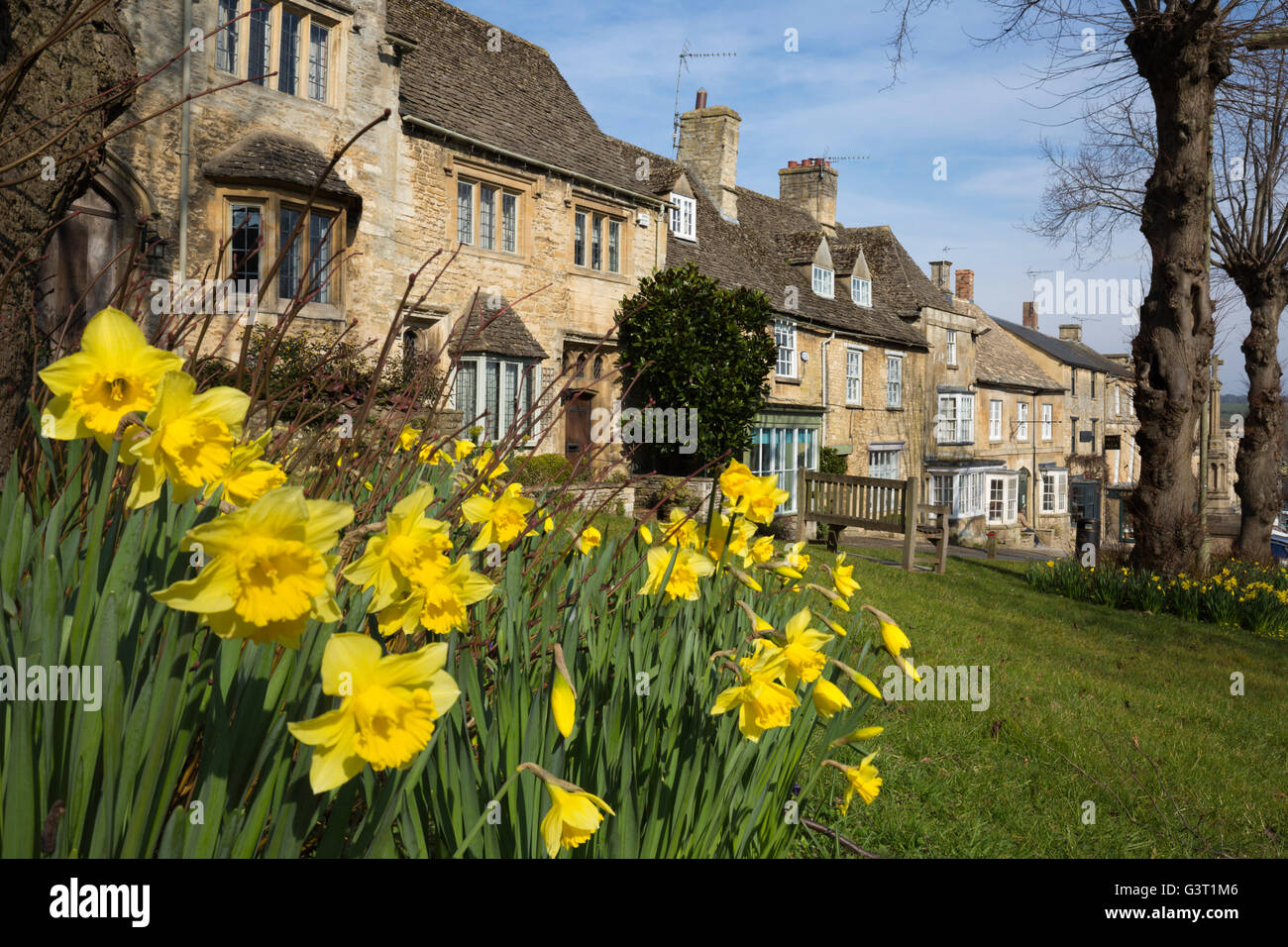 Cotswold stone cottages and Daffodils along The Hill, Burford, Cotswolds, Oxfordshire, England