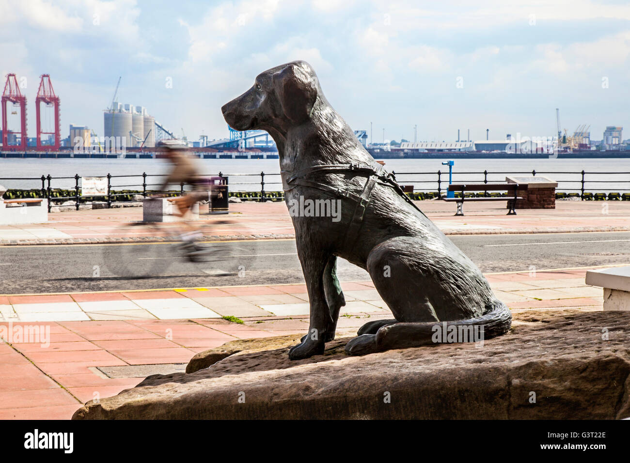 A bronze image of a dog sits proudly outside New Brighton’s Floral Pavilion Theatre – signifying Wallasey’s trailblazing work in the setting up of the world-renowned Guide Dogs for the Blind Association. New Brighton, Wallasey, The Wirral, Merseyside, Liverpool, UK Stock Photo