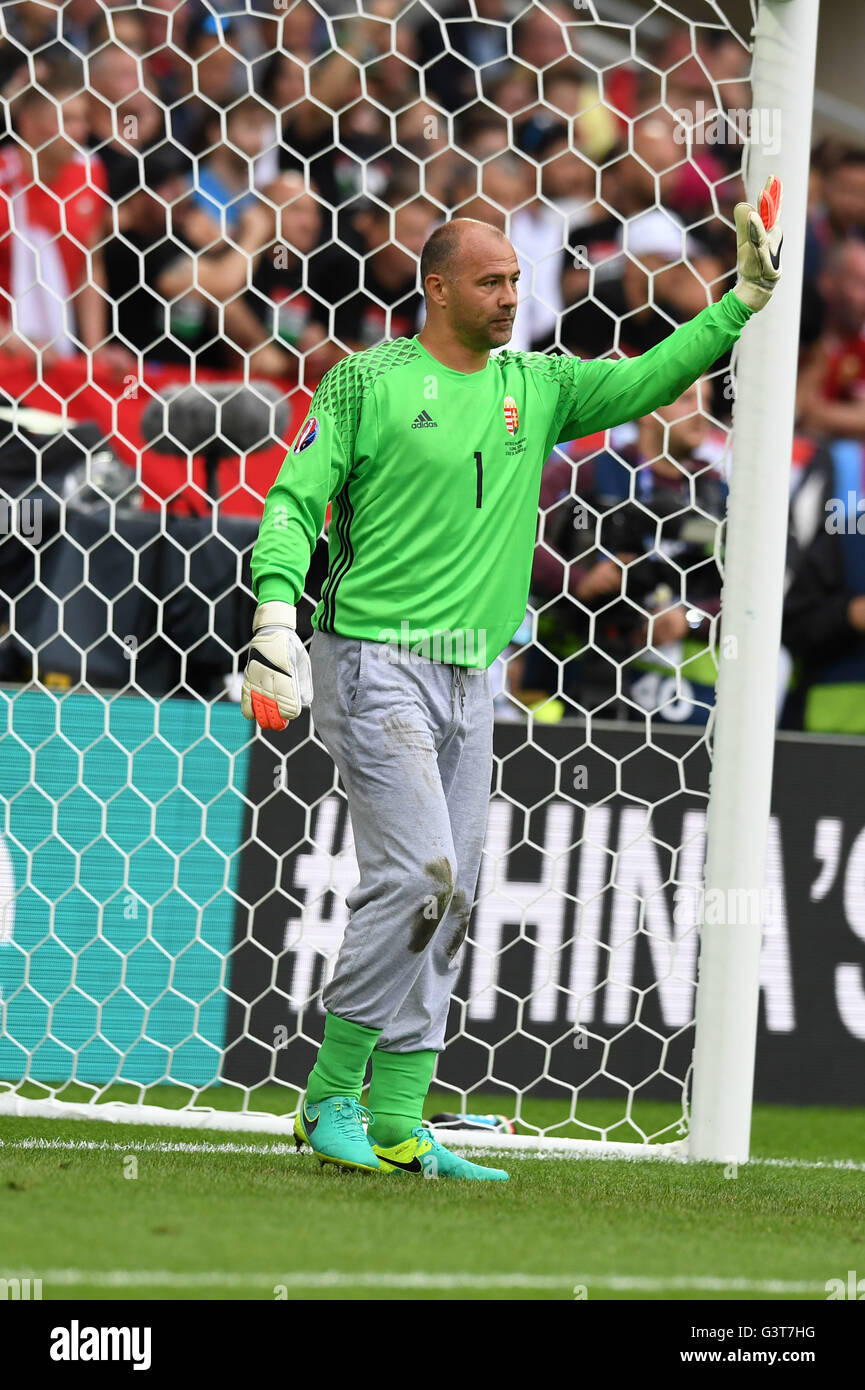Gabor kiraly hi-res stock photography 