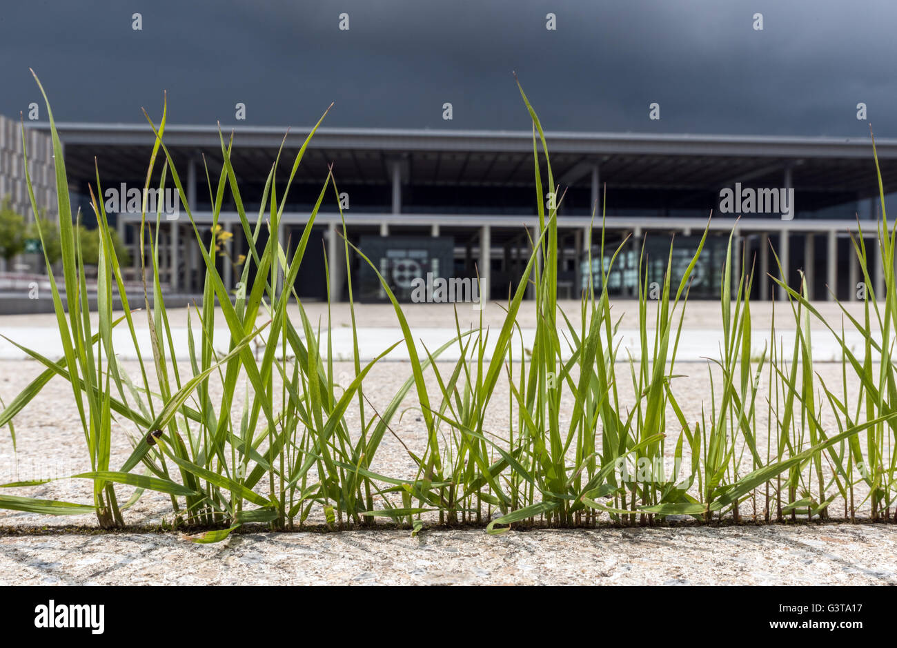 Grass grows out of concrete joints in front of the terminal building at ...