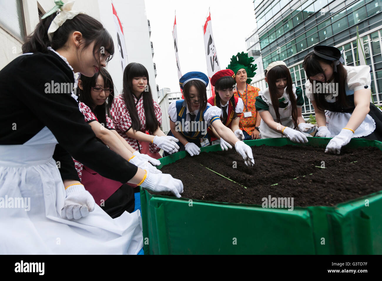 Akihabara maids sow seeds on a rooftop garden at the Japan Agricultural Newspaper building in Akihabara on June 15, 2016, Tokyo, Japan. The annual event organised by NPO group Licolita sees maids and volunteers from local cafes and stores joining the Akihabara Vegetable Garden Project. This year 7 Akihabara maids planted habanero, peppermint, bhut jolokia and coriander. © Rodrigo Reyes Marin/AFLO/Alamy Live News Stock Photo