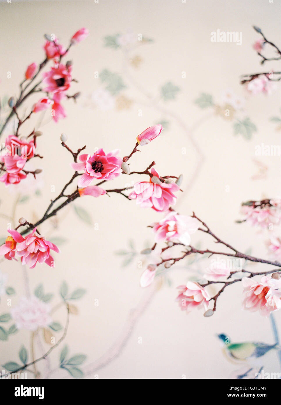 Norway, Painted pink flowers on tree branch Stock Photo