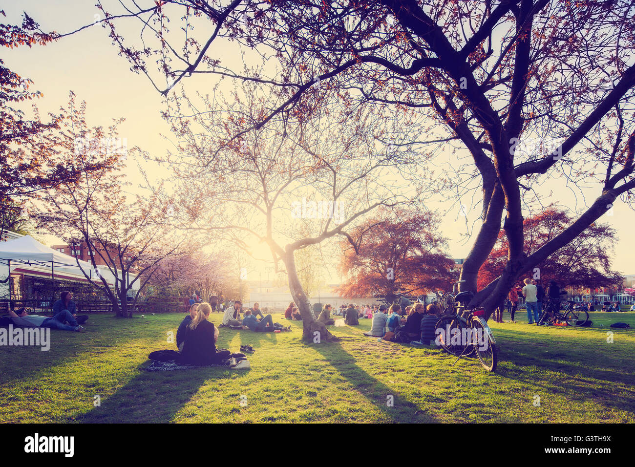 Sweden, Skane, Malmo, People sitting on grass in park Stock Photo