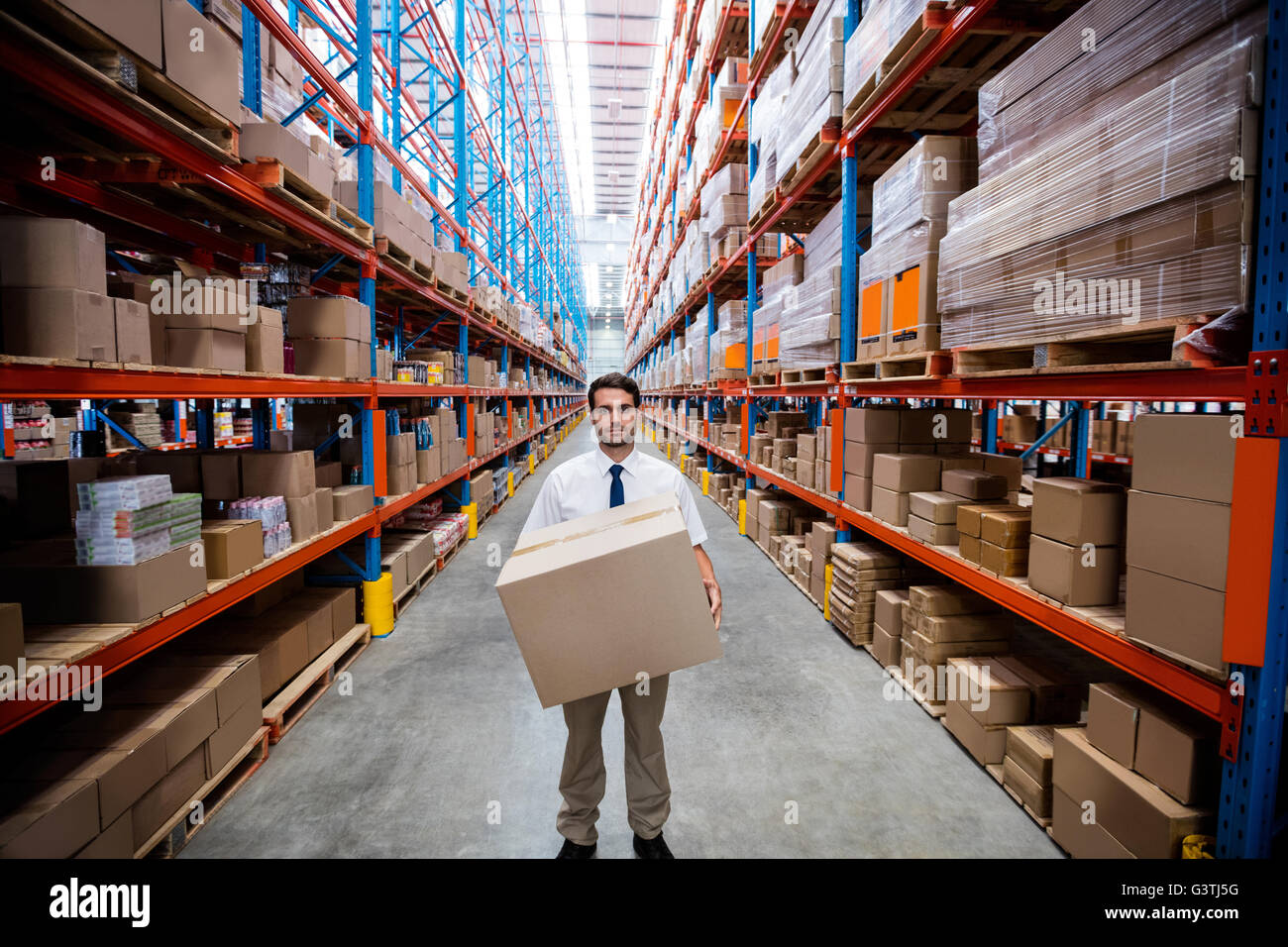 Portrait of warehouse manager wide angle Stock Photo