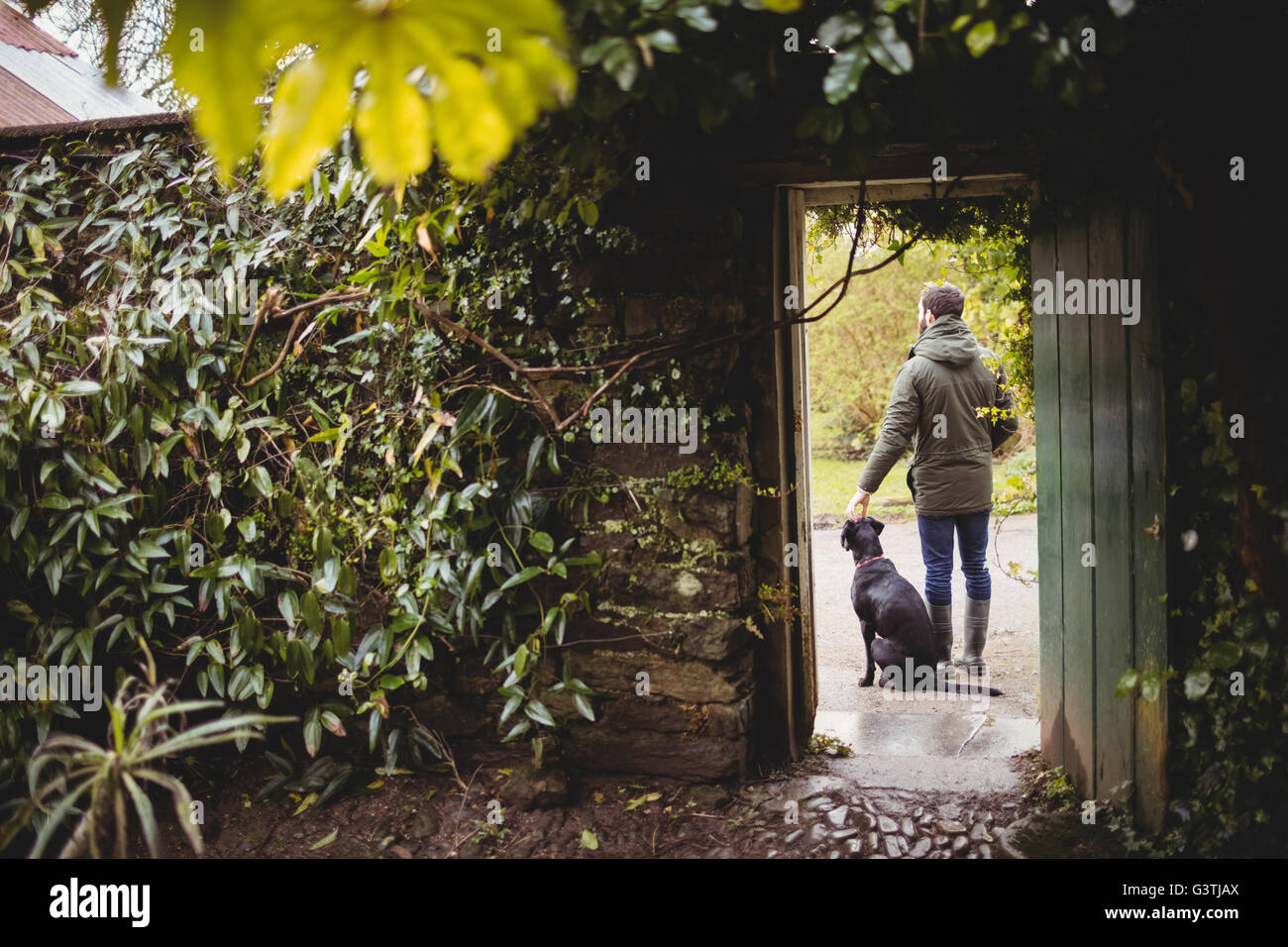 Rear view of hipster man and his dog Stock Photo