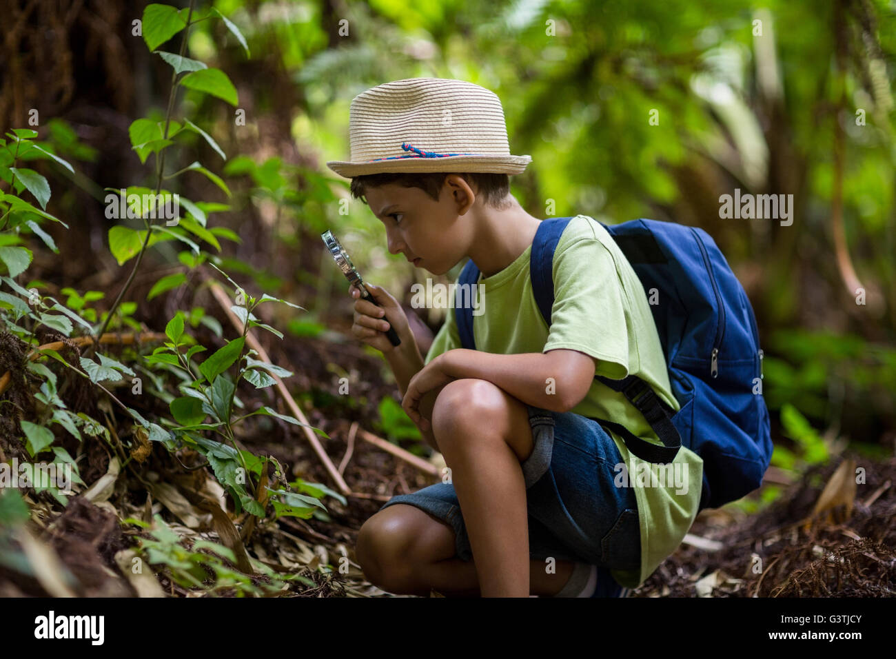 Boy examining the plants with magnifying glass Stock Photo