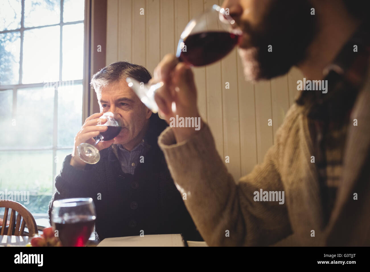 Portrait of hipster and mature man drinking red wine Stock Photo