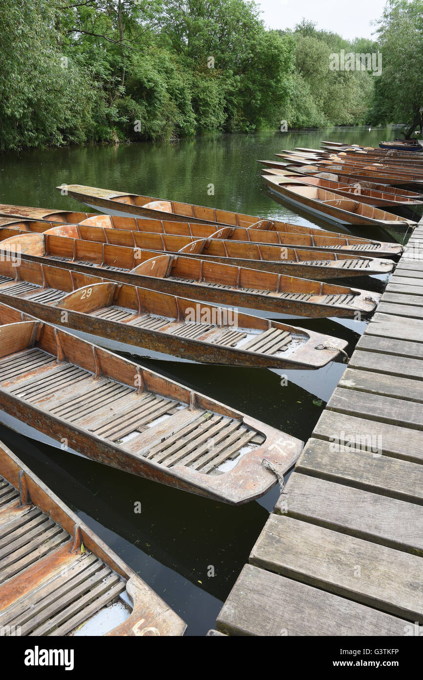 Punts moored on the Cherwell River,Oxford,UK Stock Photo