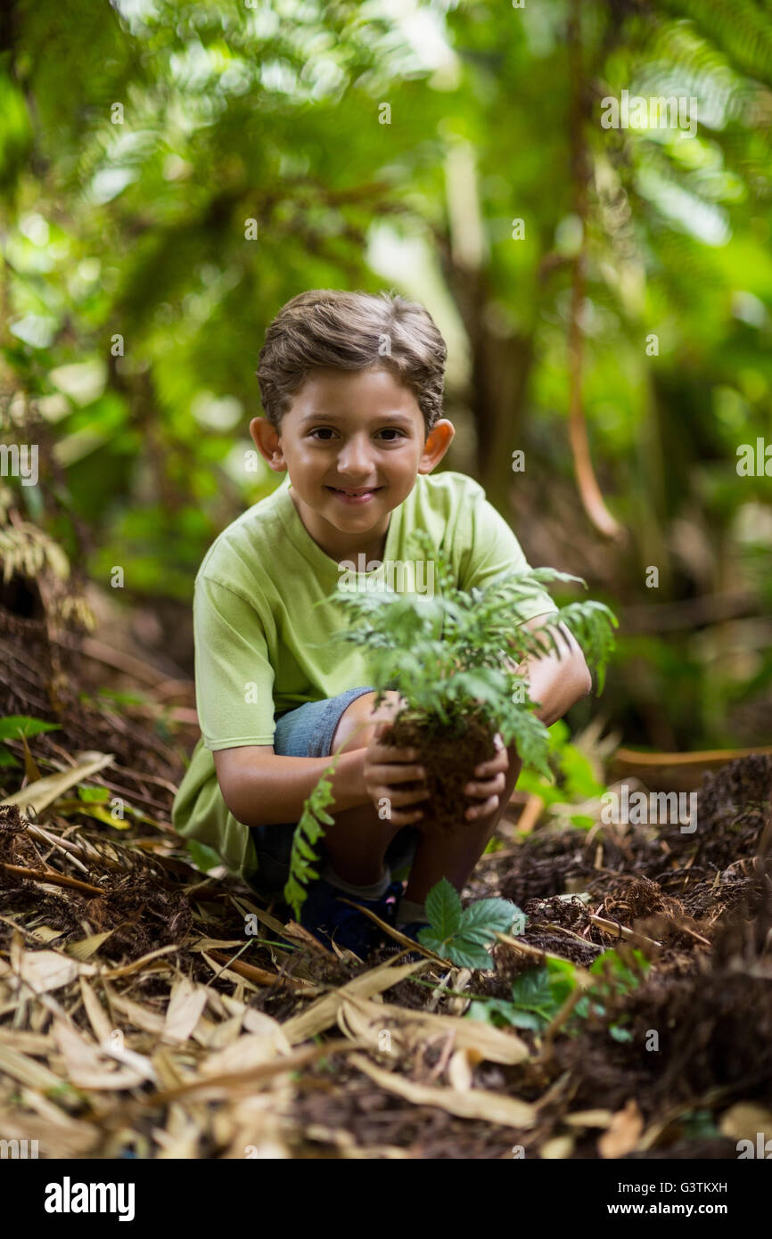 Boy holding sapling plant Stock Photo