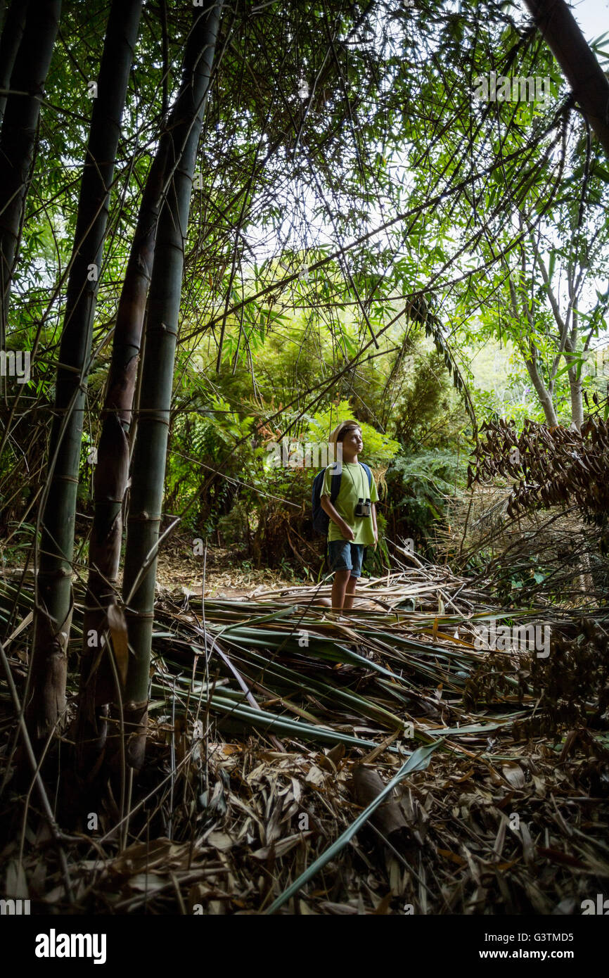 Boy standing in forest Stock Photo - Alamy