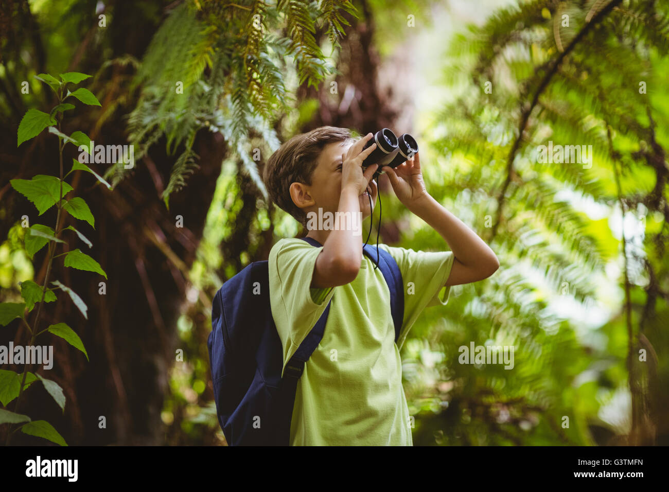 Young boy looking through binoculars in forest Stock Photo