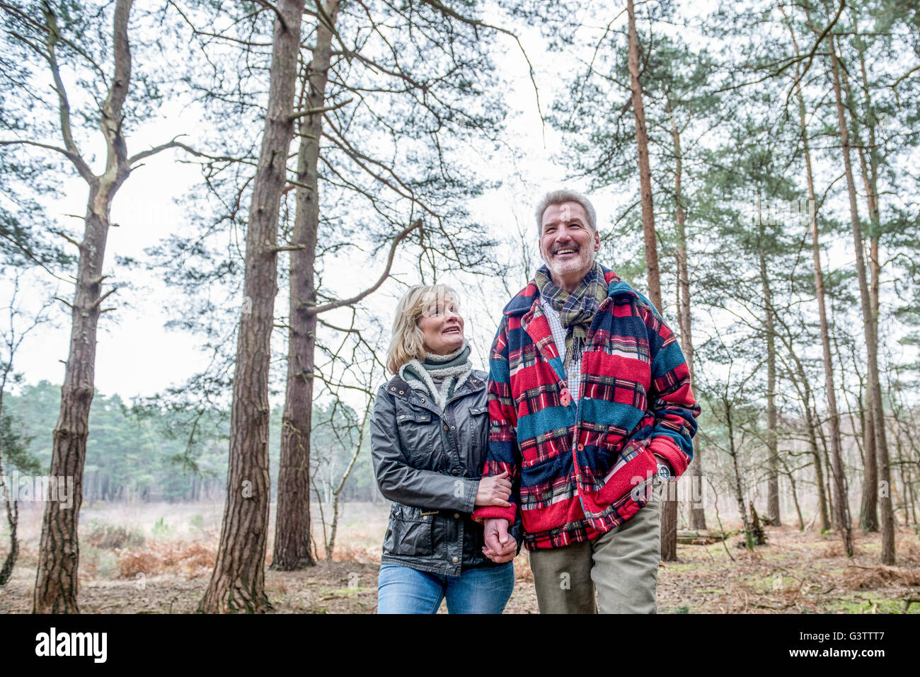 Senior couple enjoying a walk in the woods Stock Photo - Alamy