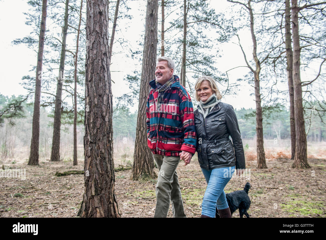 Senior couple enjoying a walk in the woods with their dog Stock Photo ...