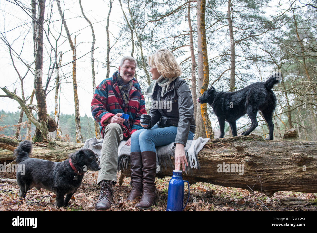 Senior couple enjoying a break with their dogs during a woodland walk