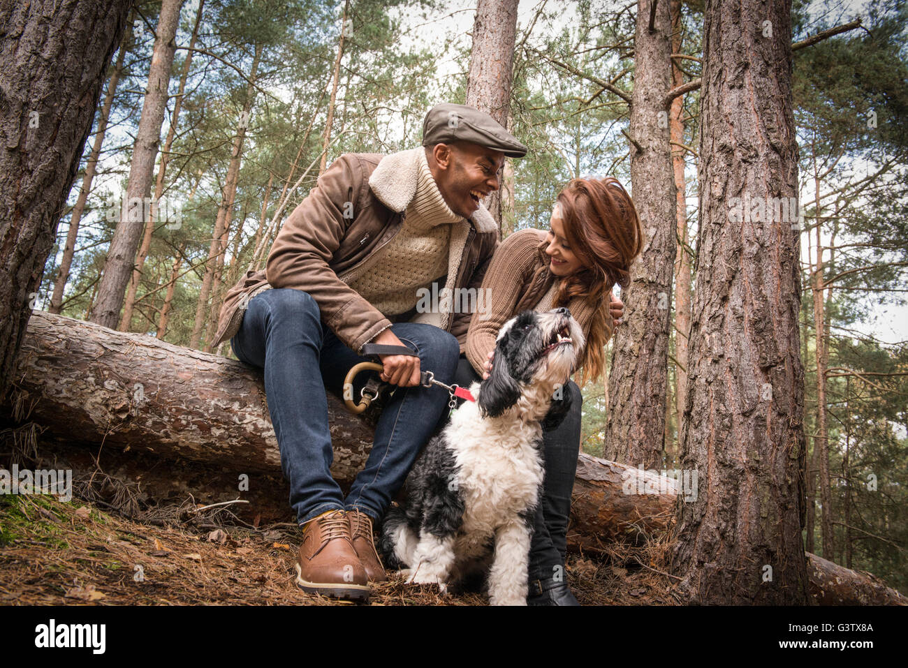 A young couple sitting with their dog during a forest walk in Autumn. Stock Photo