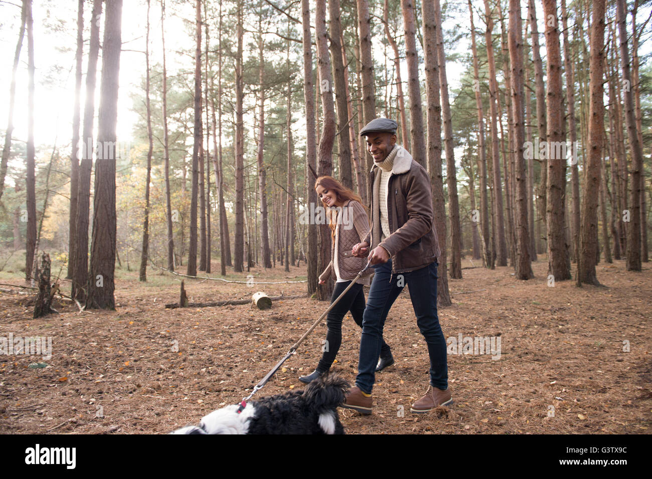 A young couple out with their dog on a forest walk in Autumn Stock ...