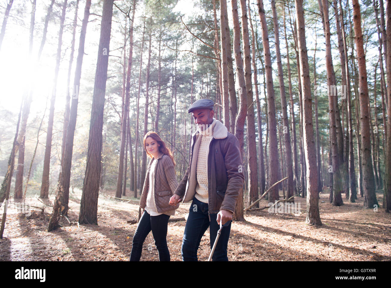 A young couple out with their dog on a forest walk in Autumn Stock ...