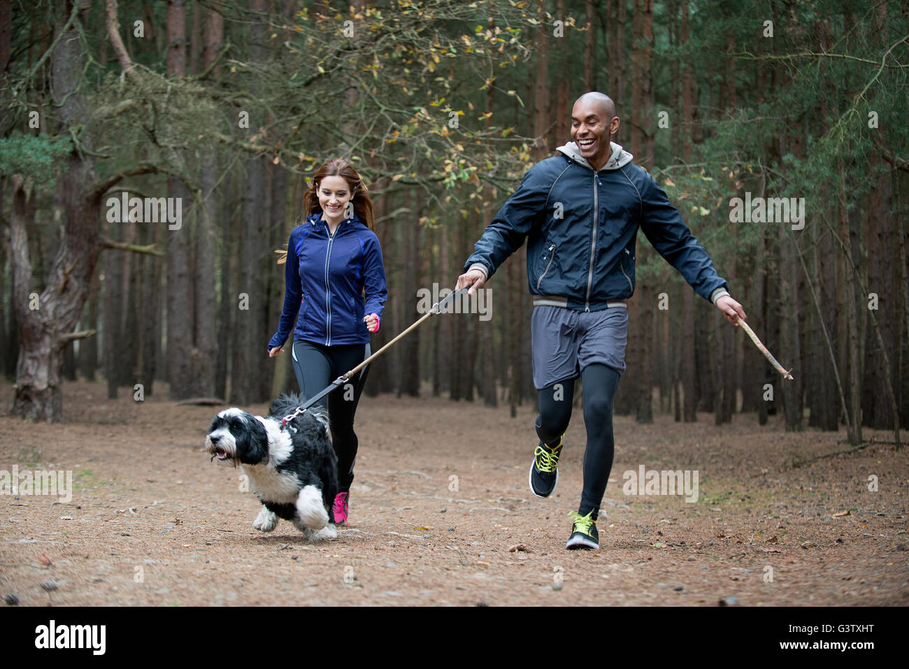 A young couple out with their dog on a forest walk in Autumn Stock ...
