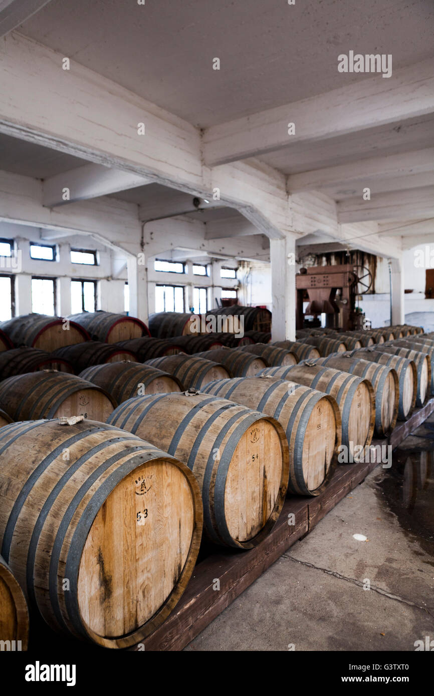 Wine barrels Stock Photo