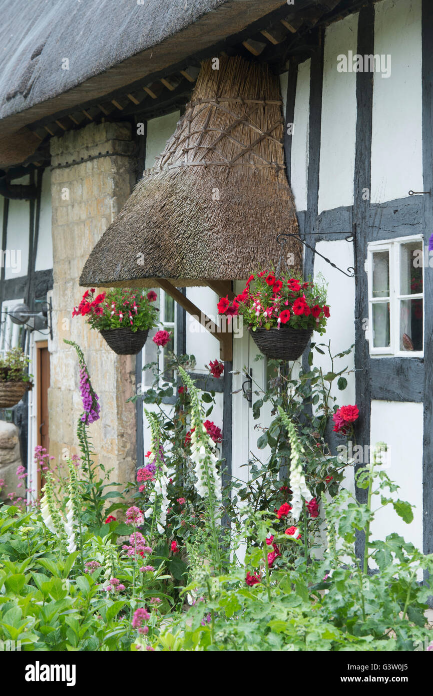 Hanging baskets and foxgloves in front of a black and white timber framed cottage. Ashton Under Hill, Worcestershire, UK Stock Photo