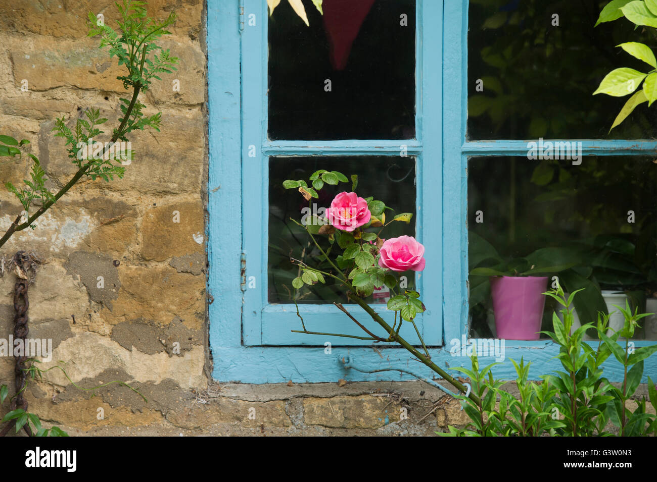 Thatched cottage window and roses. Ashton Under Hill, Wychavon district, Worcestershire, UK Stock Photo