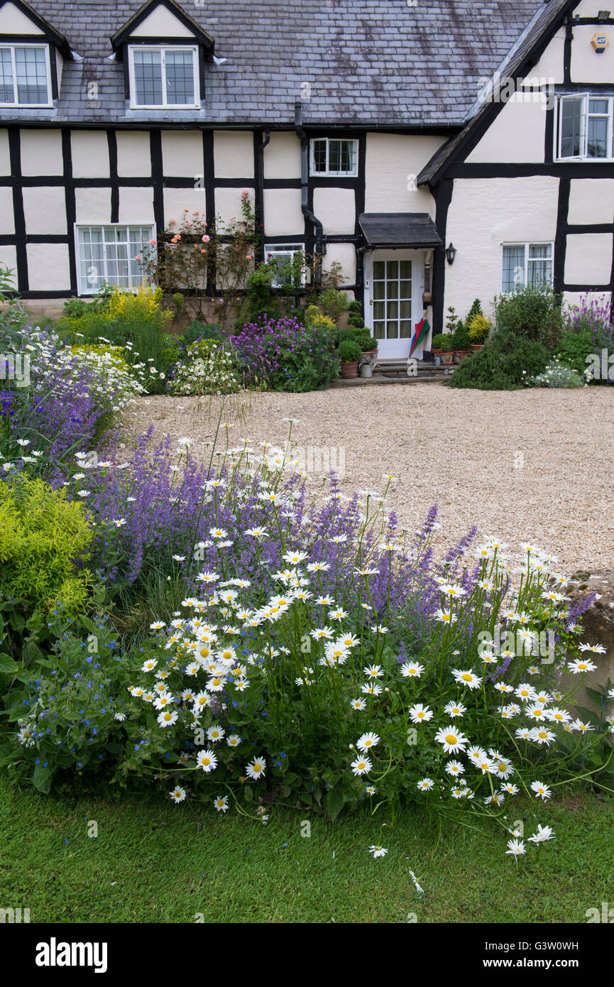 Black and white timber framed cottage and garden. Ashton Under Hill, Wychavon district, Worcestershire, England Stock Photo