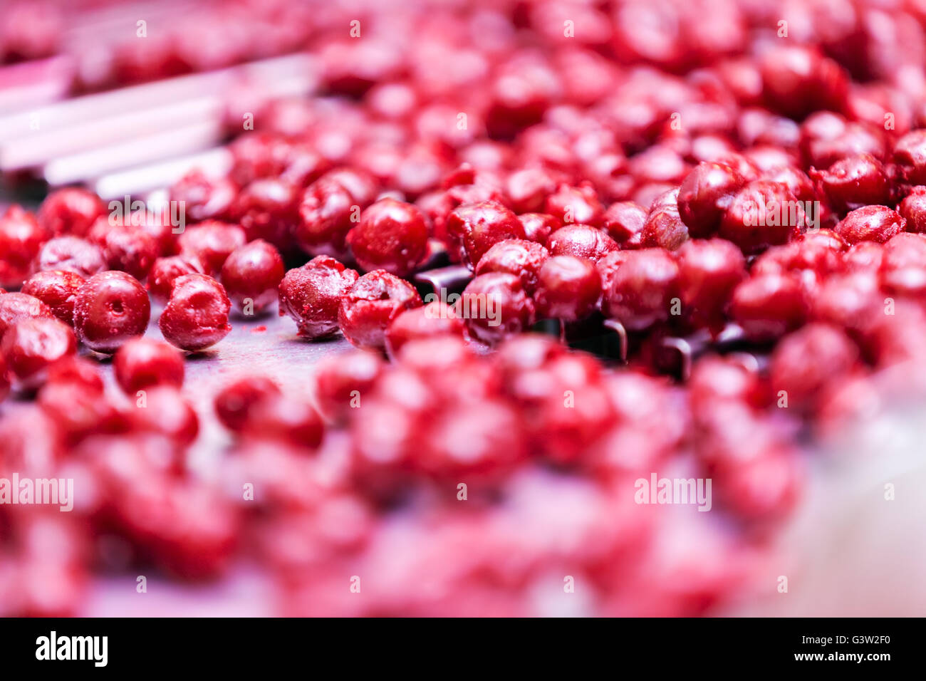 frozen sour cherries in sorting and processing machines Stock Photo - Alamy