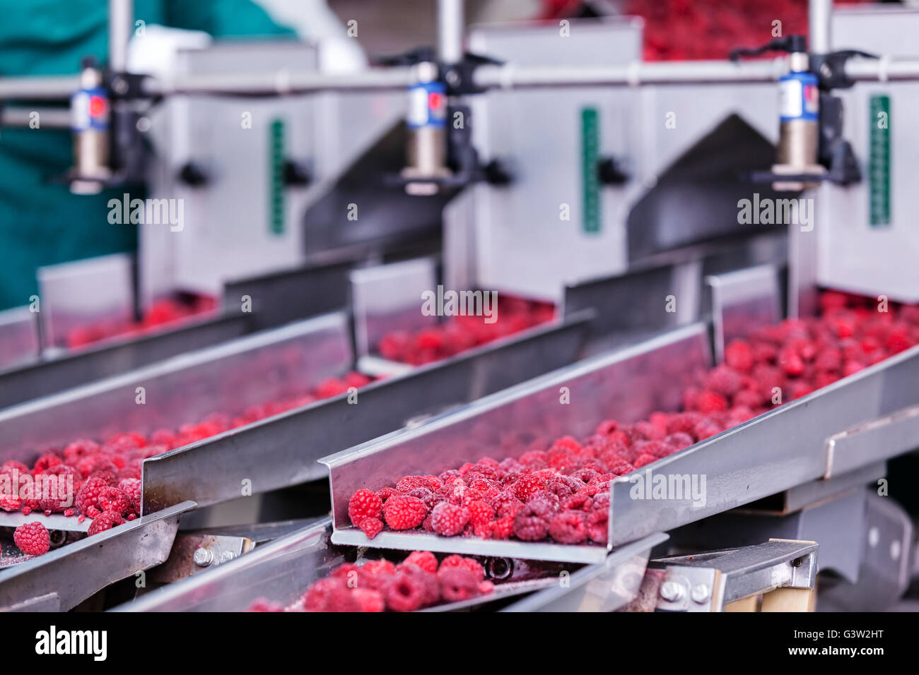 фасовщик ягод. ягоды в заморозке. сортировочная линия для яблок. завод по переработке ягод. переработка ягод.