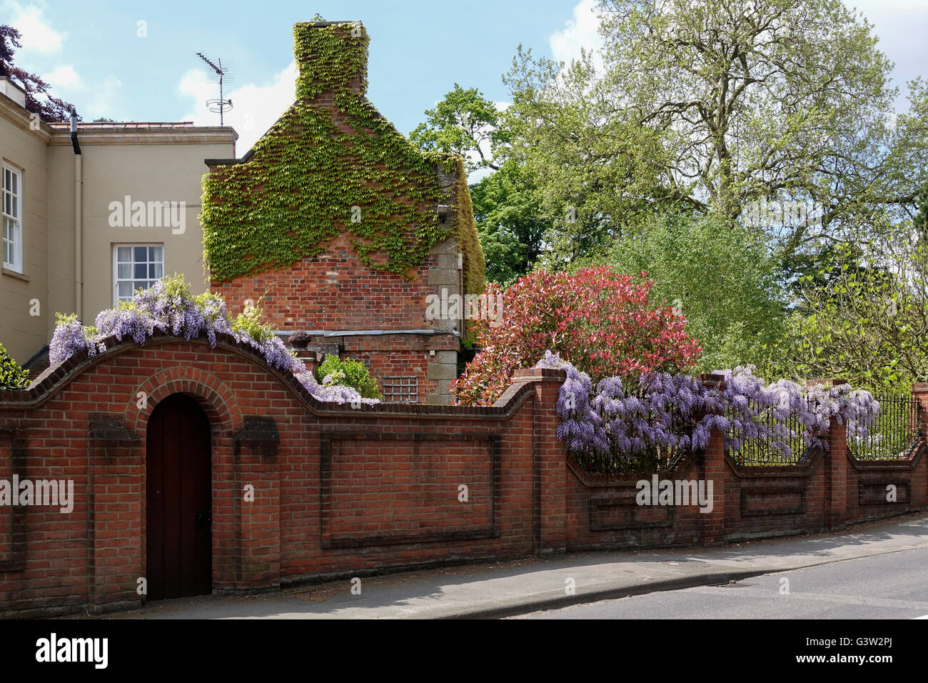 Garden Wall with Wisteria, Church Road, Windlesham, Surrey 1 Stock