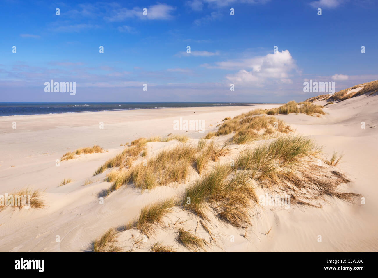 Wide beaches and sand dunes on the Dutch island of Terschelling on a sunny day. Stock Photo