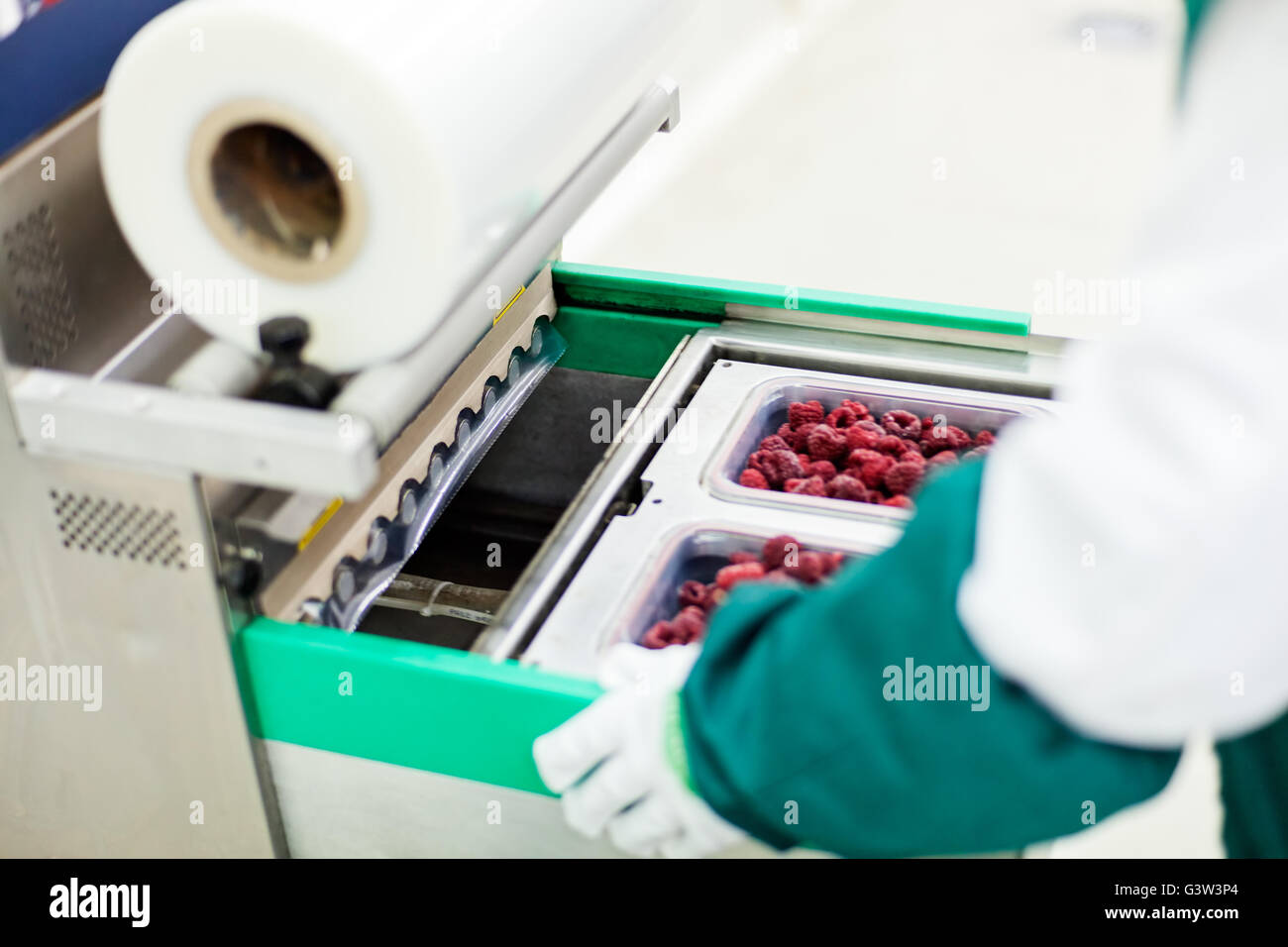 frozen red raspberries in sorting and processing machines Stock Photo