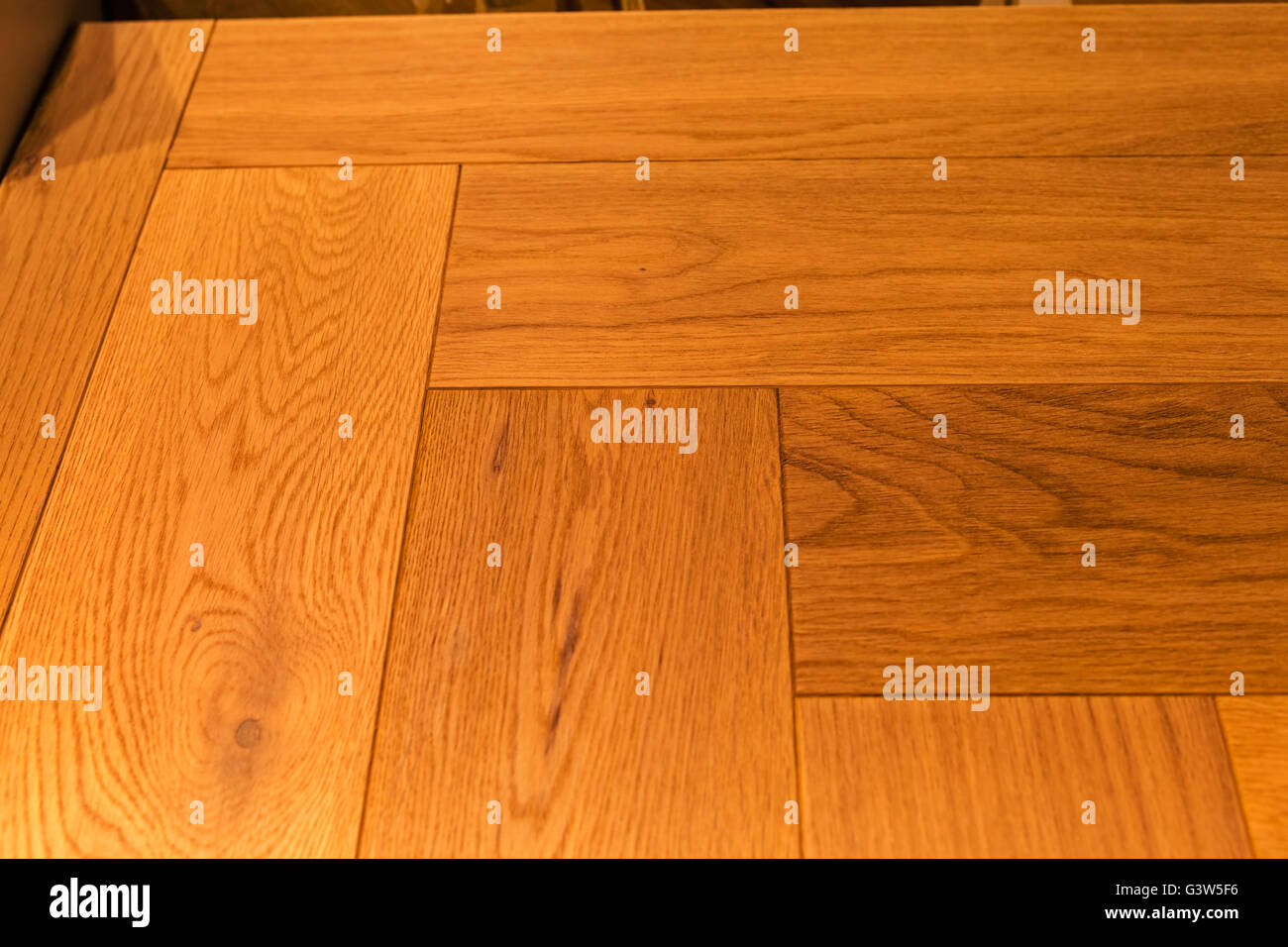 texture of wooden worm colored parquet floor Stock Photo