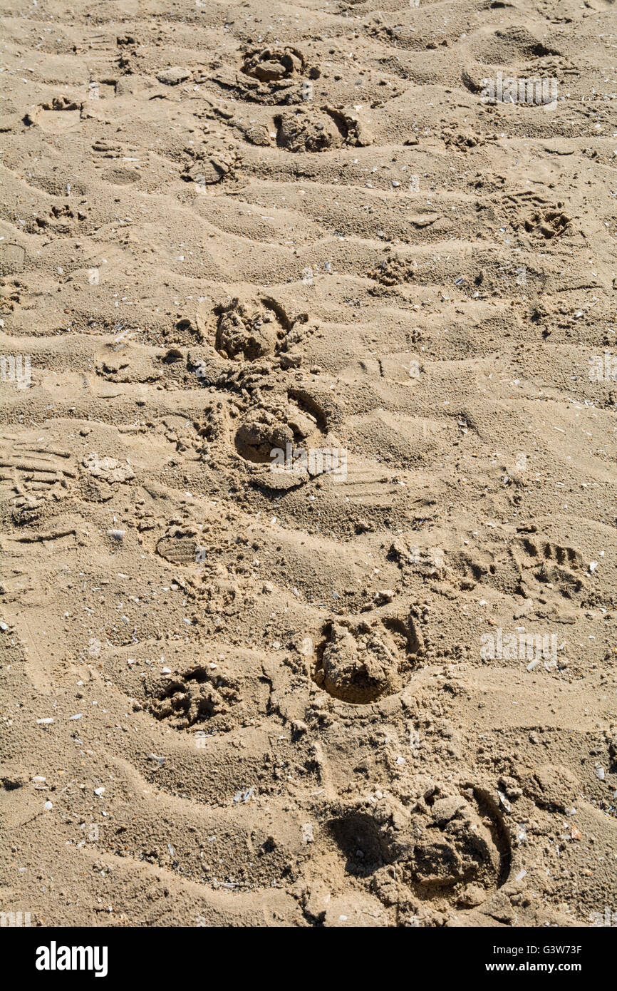 Horse hoof prints hires stock photography and images Alamy