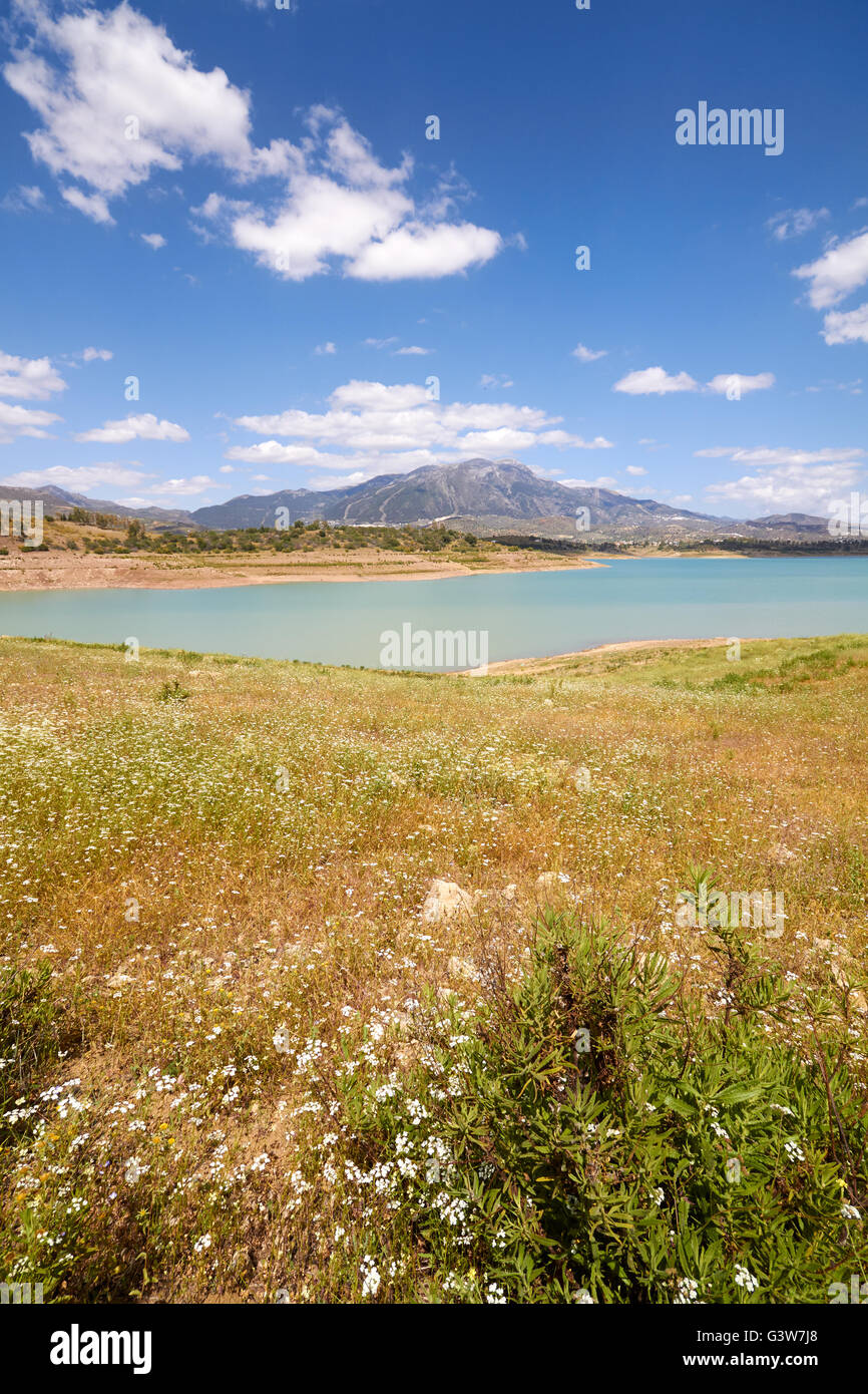 Détail De La Lagune D'antela En Galice Espagne Photo stock - Image du  desséché, détail: 211137632