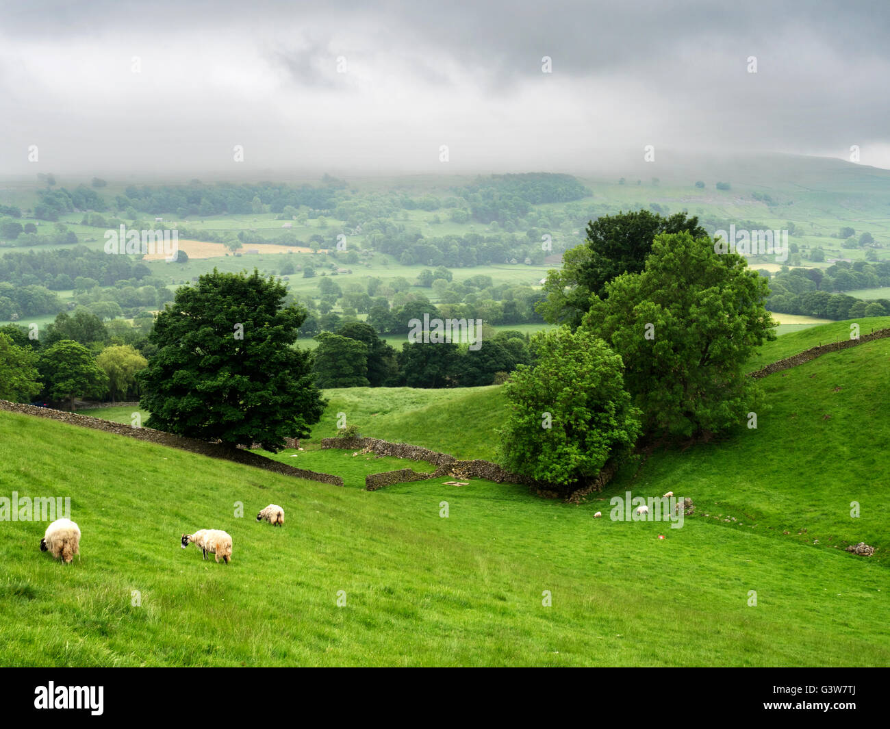 Low Cloud over Wensleydale in Summer near Aysgarth Yorkshire Dales England Stock Photo