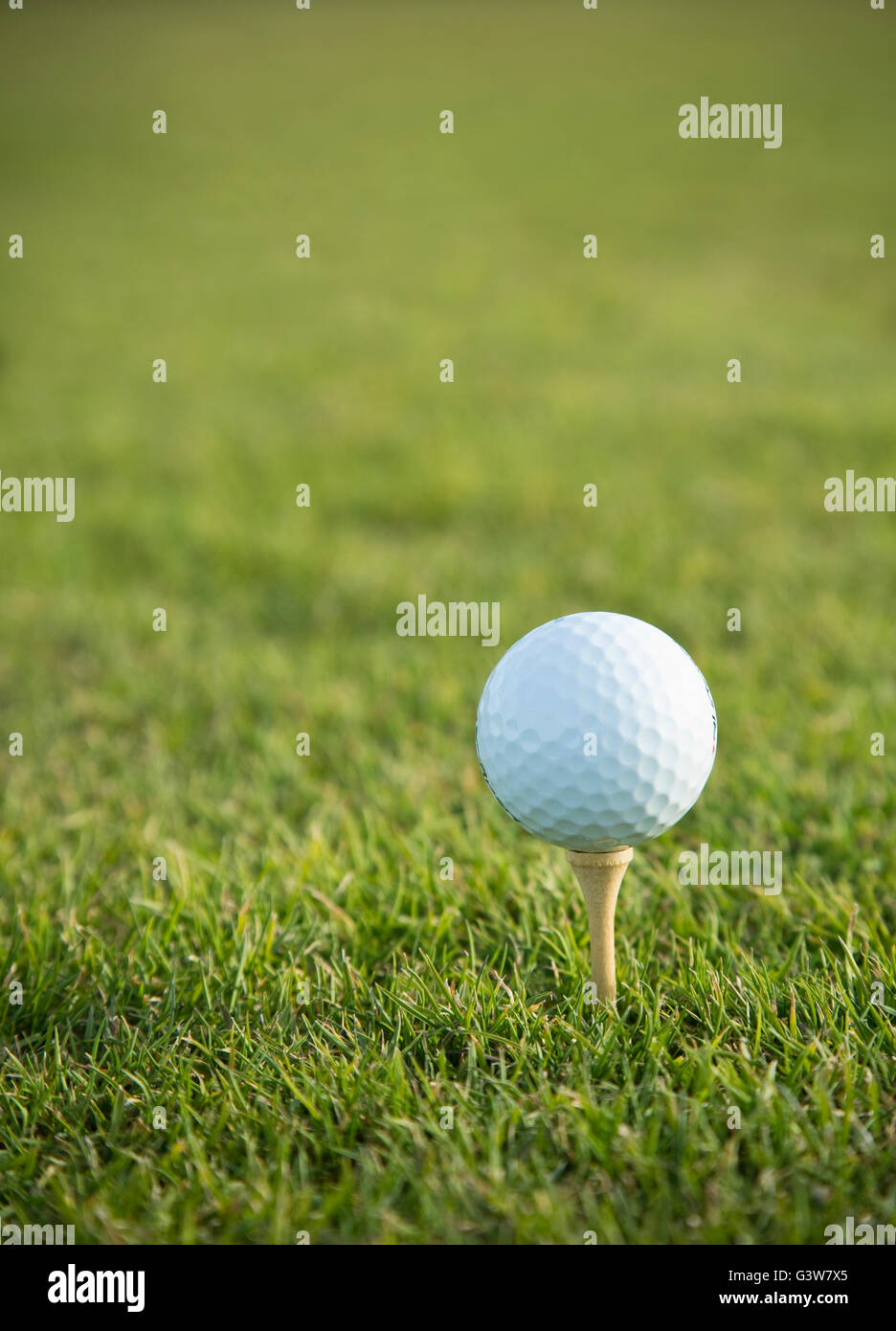 Golf ball on tee on golf course Stock Photo