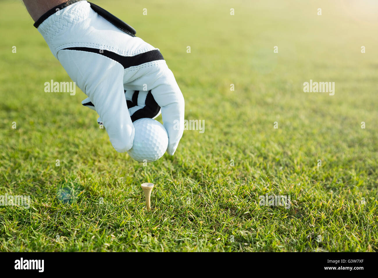Golfer wearing glove putting ball on tee Stock Photo